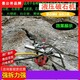 北京拆除水泥桩劈裂棒图
