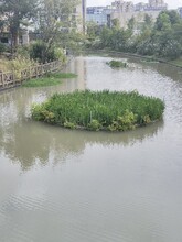 宜春凈化水質(zhì)復(fù)合纖維生態(tài)浮島種植公司圖片