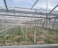乌海玻璃温室建造厂联系方式