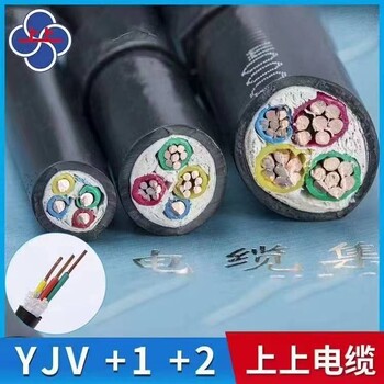 江苏上上电缆集团YJV2206/1KV铜芯低压电力线缆