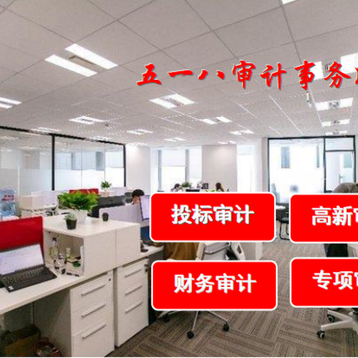 广州民办非企业年度审计报告公司