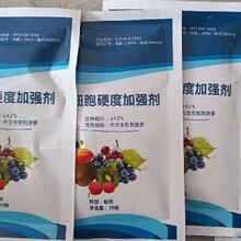 南京果實細(xì)胞硬度加強劑怎么使用增加果實抗高溫能力圖片