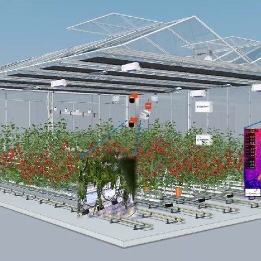 花卉设施温室大棚施工建造