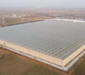 一道农业玻璃智能温室大棚公司