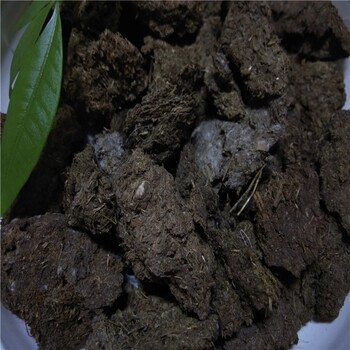 海南省直轄發(fā)酵牛糞蚯蚓糞茶圃肥