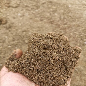 发酵鸡粪可克达拉发酵羊粪疏松土壤