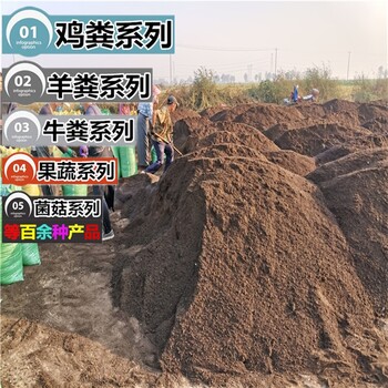 呼倫貝爾發(fā)酵牛糞,發(fā)酵雞糞