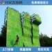煙臺戶外攀巖墻大量供應,游樂設備定做