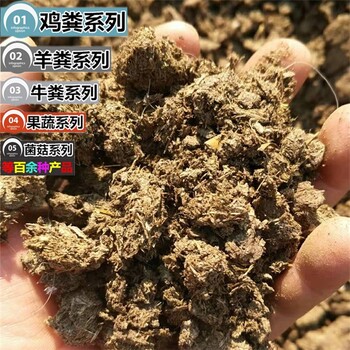 发酵牛粪批发,营养肥