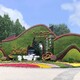 四川綠雕立體花壇圖