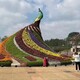 仿真綠雕造型圖