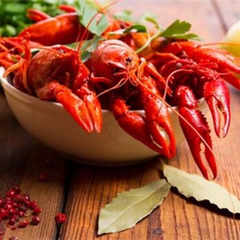 曲阜市大骨濃湯火鍋底料批發(fā)供應