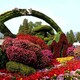 贵州绿雕立体花坛图