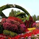 綠雕立體花壇生產(chǎn)廠家圖