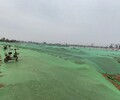 滁州绿色防尘网指导报价,盖土网密度