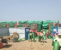 天津工地防尘网裸土覆盖网绿色盖土网
