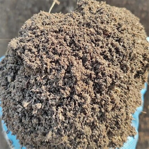 廊坊顆粒羊糞批發(fā)價