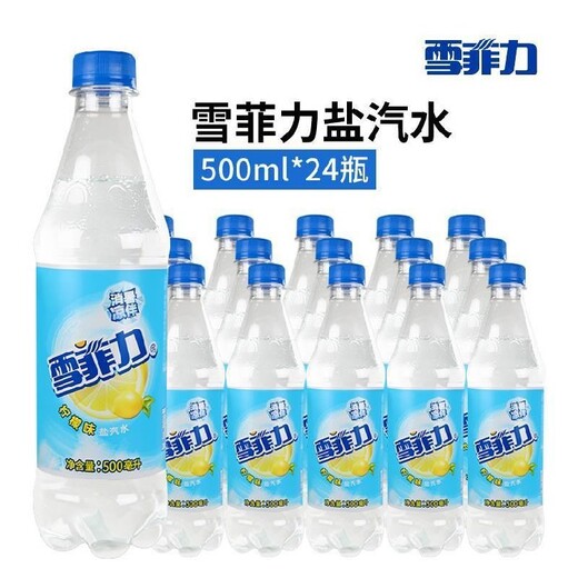 惠山区雪菲力盐汽水送水多少钱,600ML24瓶批量价