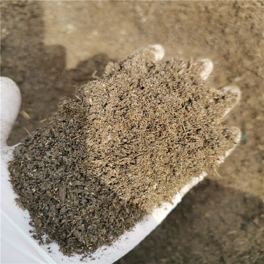 晉城曬干羊糞供應(yīng)商