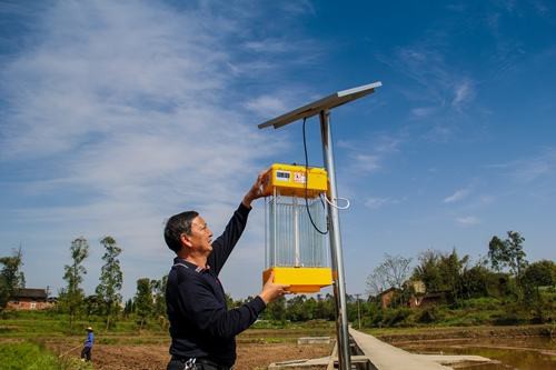 LED太阳能杀虫灯生产厂家,温州乐清市太阳能杀虫灯厂家出厂价