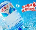 新吳區梅村娃哈哈系列零售價,娃哈哈桶裝水供應