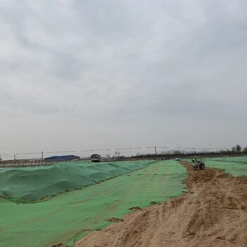 泰安绿色防尘网大量供应,聚乙烯盖土网