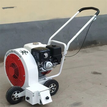 遼寧市政道路換線清掃吹風機介紹