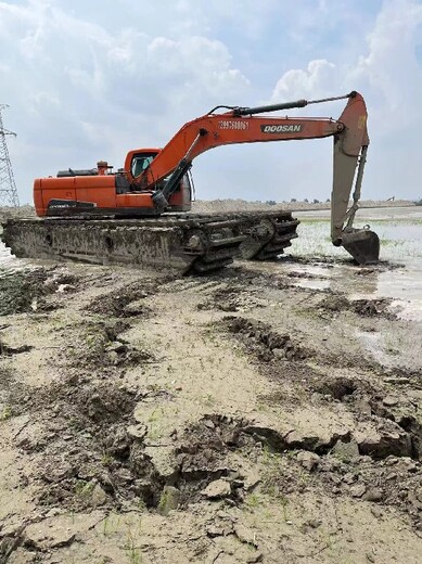 福州水陆挖掘机出租湿地