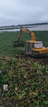 梧州水陆挖掘机出租湿地