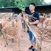 徐州出售梅花鹿萬合珍禽養殖