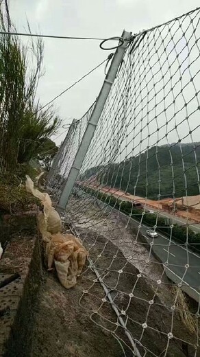 陜西被動菱形網被動環(huán)形網生產廠家