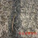貴陽加筋麥克墊生態(tài)護坡