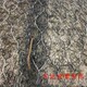加筋麥克墊價(jià)格圖