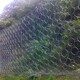 發(fā)發(fā)助手