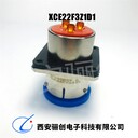 XCE18F10ZP(W)公母頭XCE驪創(chuàng)新品插頭插座