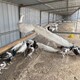西安寵物孔雀萬合珍禽養殖產品圖