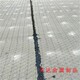 杭州路面加筋网图