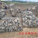 温州销售石笼网兜报价