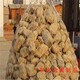 石籠網兜電話圖