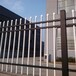 锌钢围栏唐山铁艺围栏整体焊接式锌钢护栏