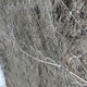 多少錢一平米圖