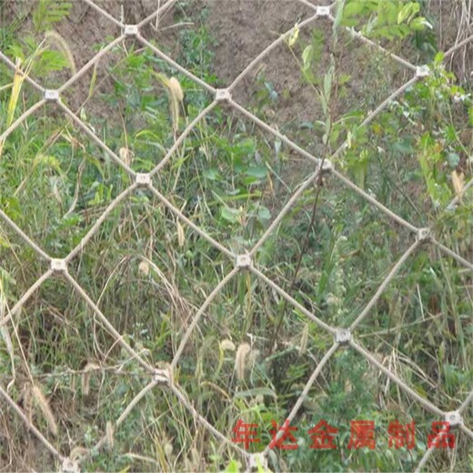 济南边坡防护网规格