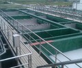 自動地埋式中型污水處理設備信譽保證