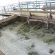 河东供应一体化污水处理设备图