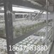 贵州原种脱毒红薯苗基地全国发货