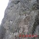 銷售邊坡防護(hù)網(wǎng)圖