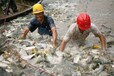 重慶江北供應(yīng)花鰱魚苗花鰱垂釣成品魚