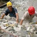 上海長寧正規(guī)花鰱苗水產(chǎn)花鰱魚苗養(yǎng)殖基地