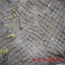郑州包塑边坡防护网作用图片