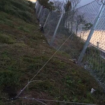 安徽被動防護網多少錢一平米